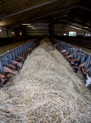 image de la galerie des producteurs