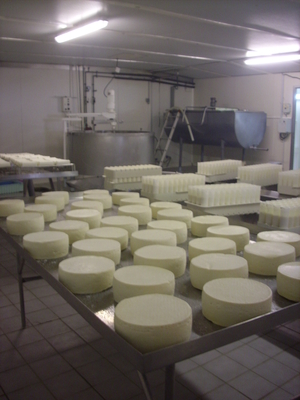 image de la galerie des producteurs